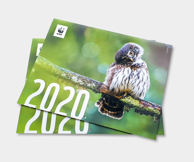 Kalendarz ścienny – indywidualny projekt