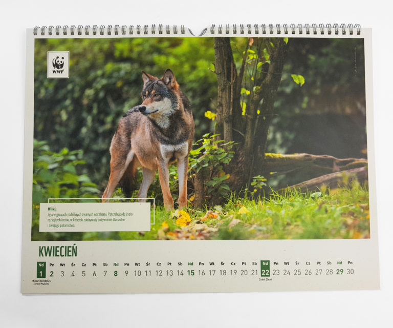 Kalendarz ścienny ekologiczny