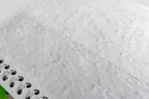 Kalendarz ścienny A5 z nasionami